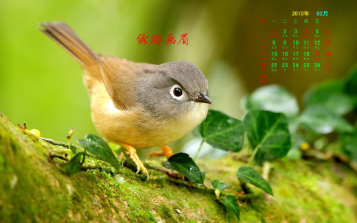 484651 (a): :1920x1200